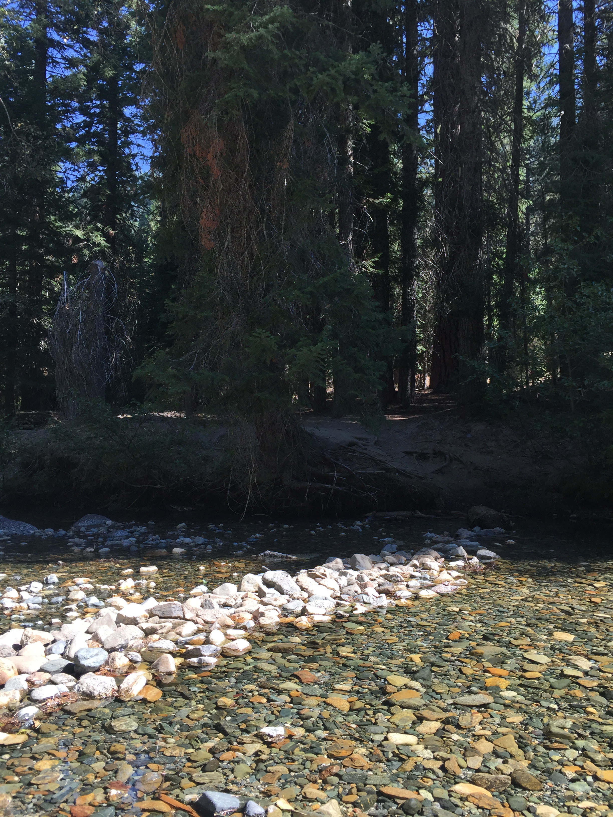 south-fork-salmon-crossing